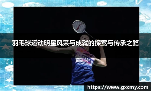 羽毛球运动明星风采与成就的探索与传承之路