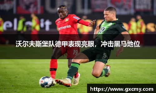 leyu乐鱼体育